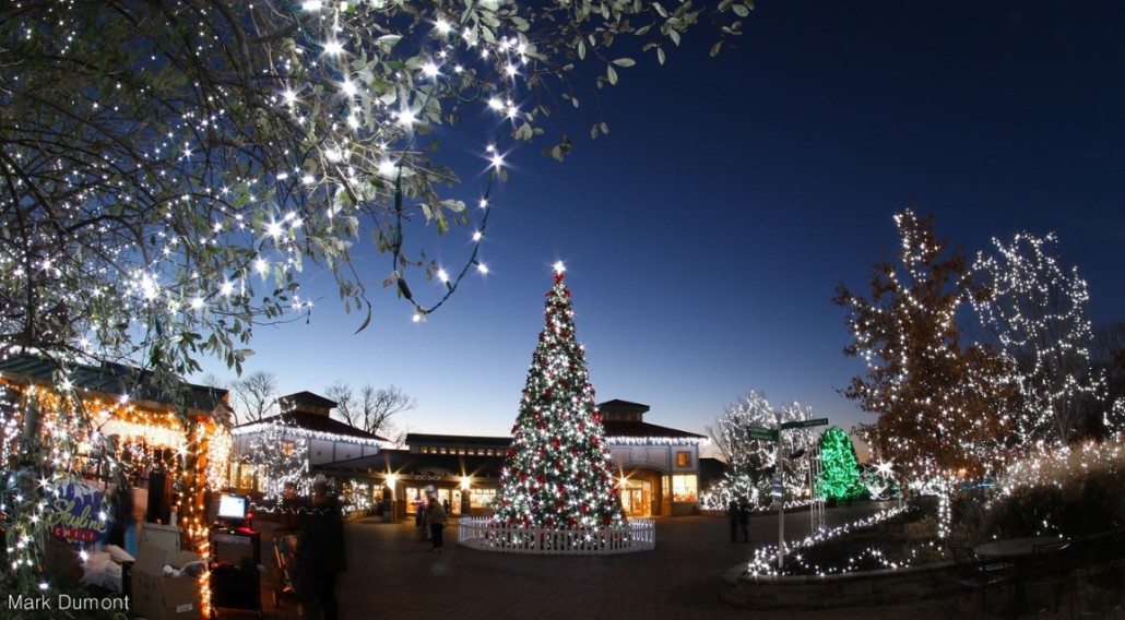 Happy Holidays 2015 Get Upright